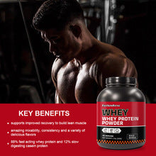 WHEY PROTRIN POWDER 500g