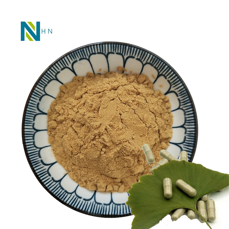 Natural ginkgo biloba extract powder