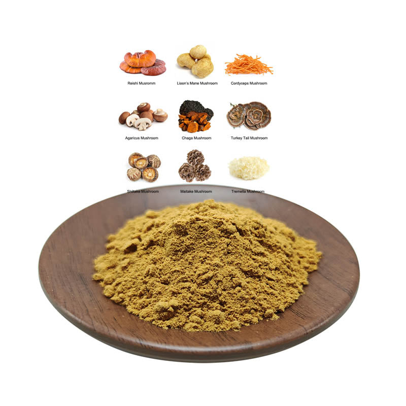 Natural Chaga mushroom extract-Beta Glucan