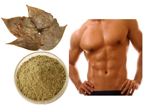 Natural Epimedium extract powder