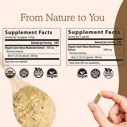 Health supplements lion's mane capsules lion's mane nutrition