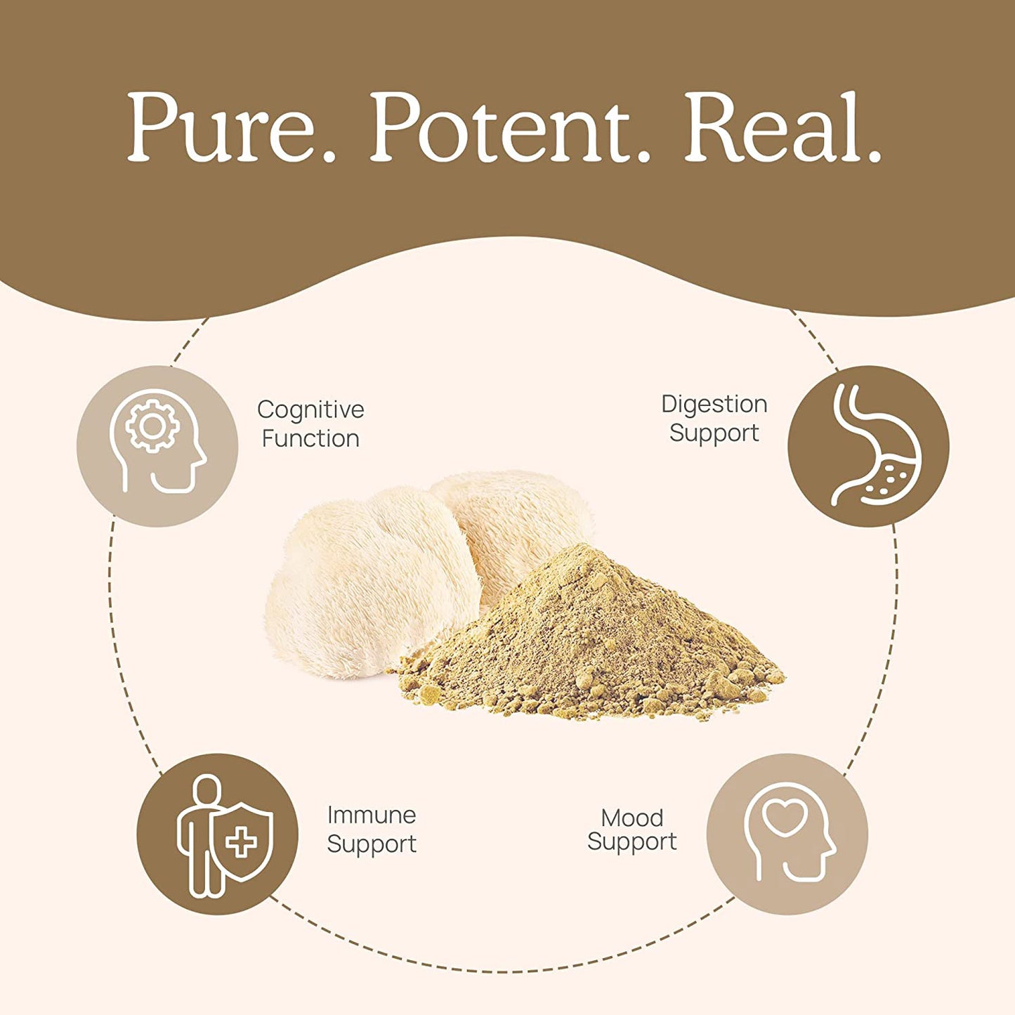 Health supplements lion's mane capsules lion's mane nutrition