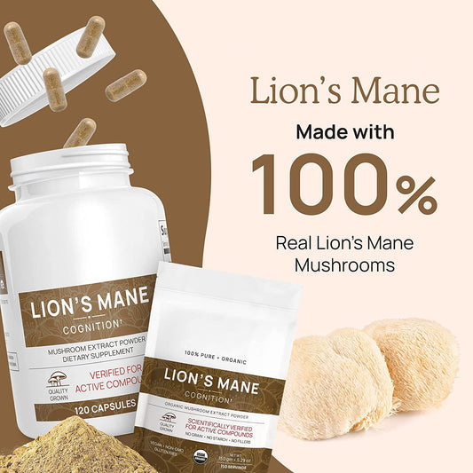 Health supplements lion's mane capsules lion's mane nutrition