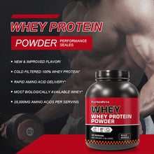 WHEY PROTRIN POWDER 500g