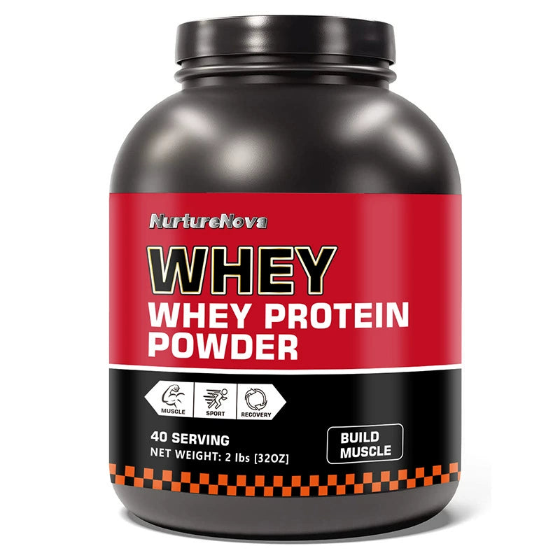 WHEY PROTRIN POWDER 500g