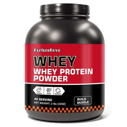 WHEY PROTRIN POWDER 500g