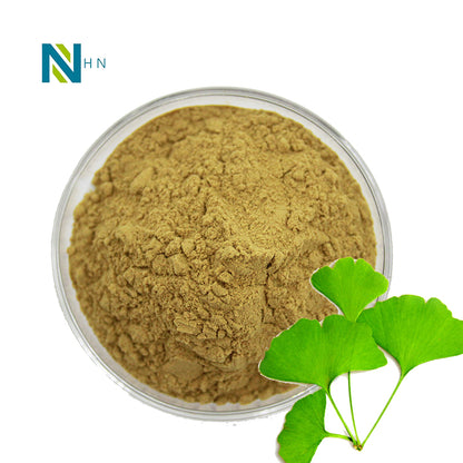 Natural ginkgo biloba extract powder