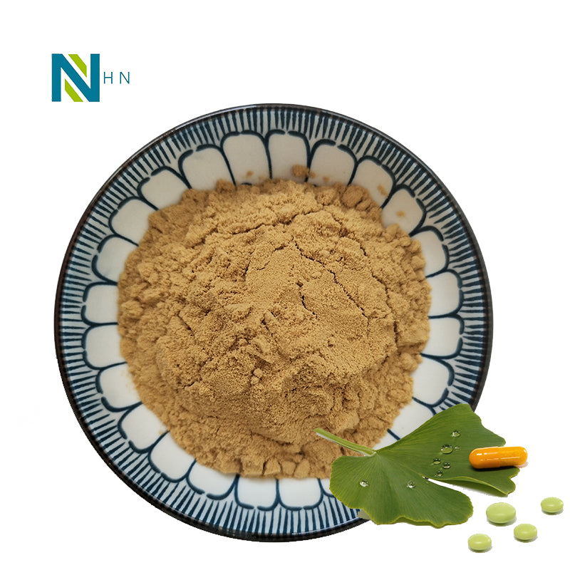 Natural ginkgo biloba extract powder