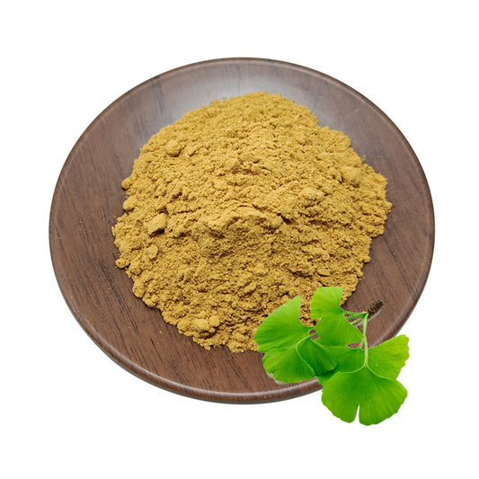 Natural ginkgo biloba extract powder
