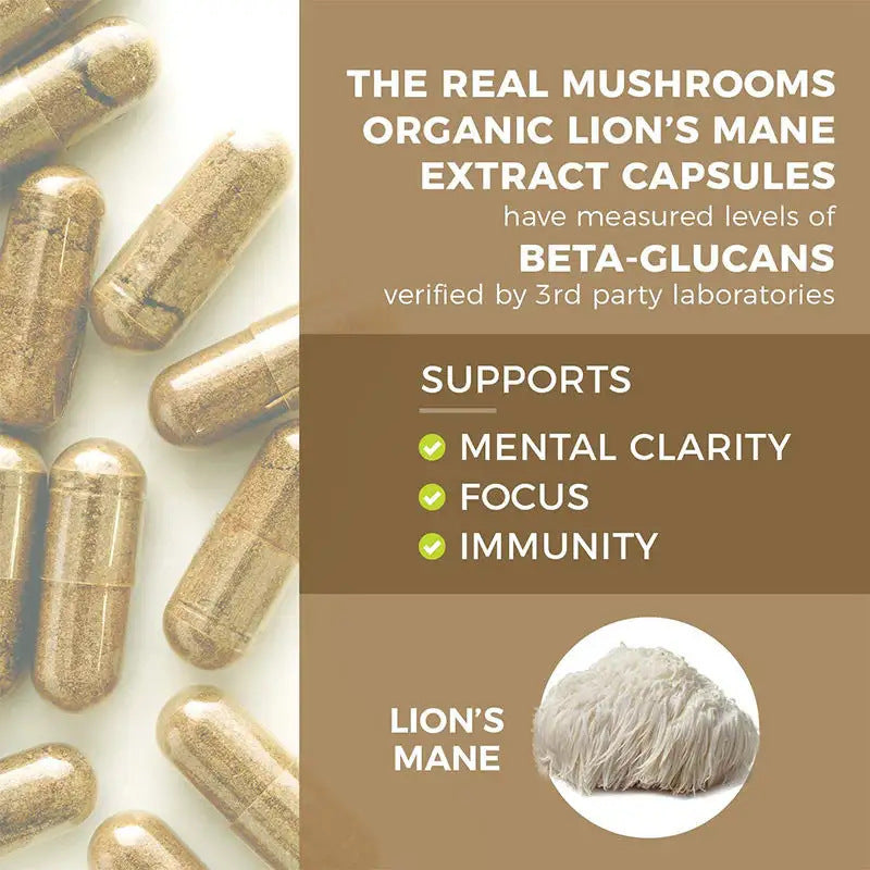 Health supplements lion's mane capsules lion's mane nutrition