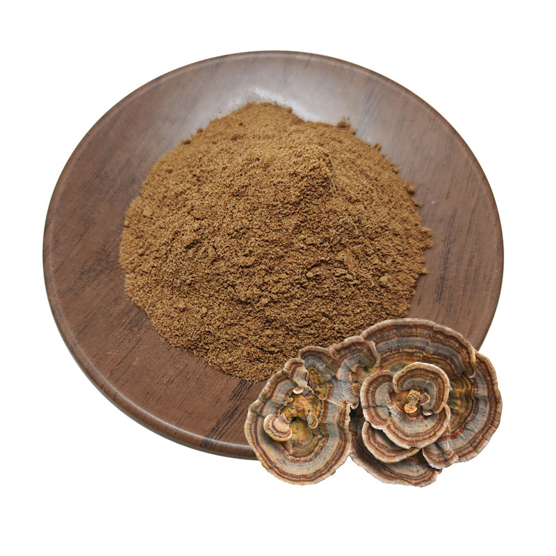 Natural Turkey Tail Extract powder-Polysaccharides