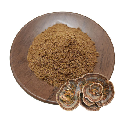 Natural Turkey Tail Extract powder-Polysaccharides