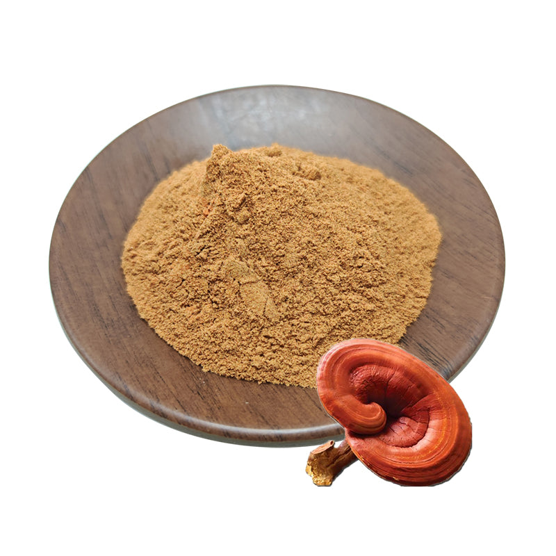 Natural Reishi mushroom extract powder-Polysaccharides